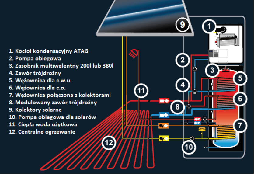 3 wezownice solar